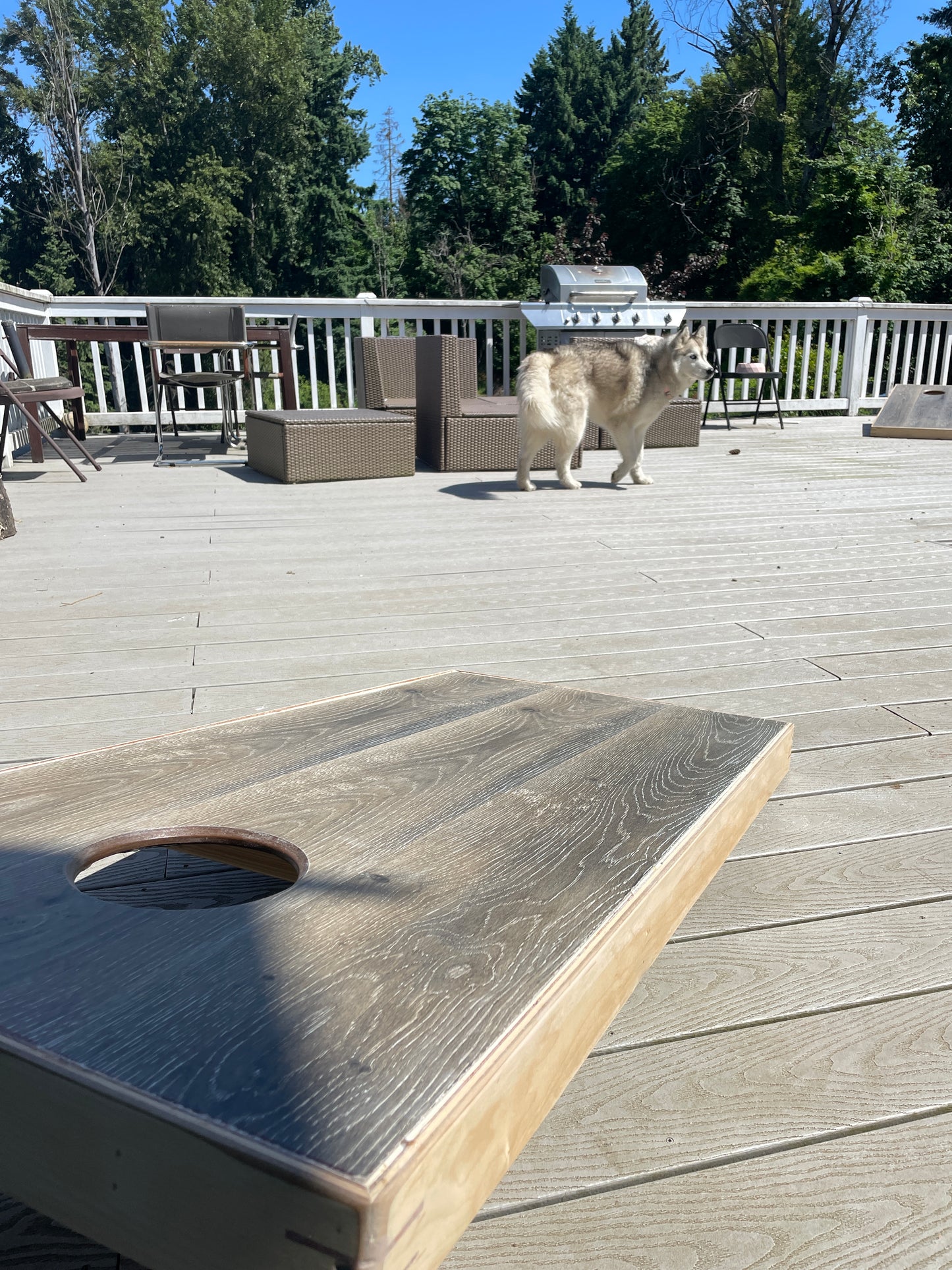 Laminate Cornhole Board Set w/ Bags (LOCAL pickup - Portland, OR)