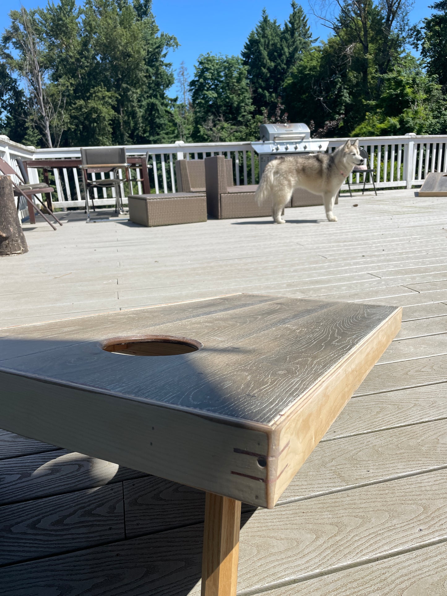 Laminate Cornhole Board Set w/ Bags (LOCAL pickup - Portland, OR)