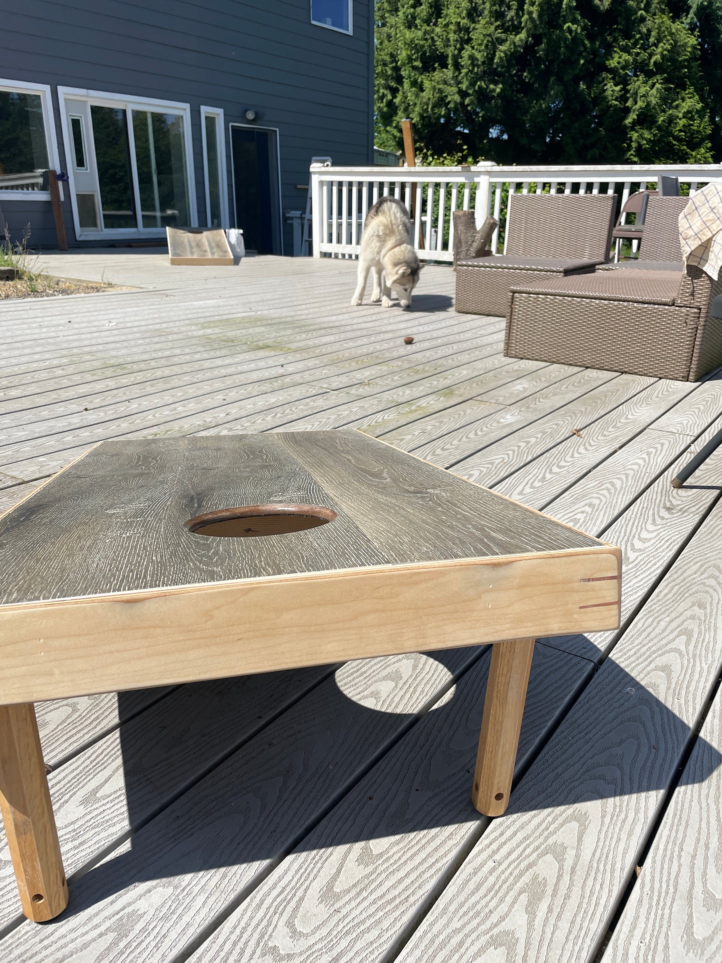 Laminate Cornhole Board Set w/ Bags (LOCAL pickup - Portland, OR)