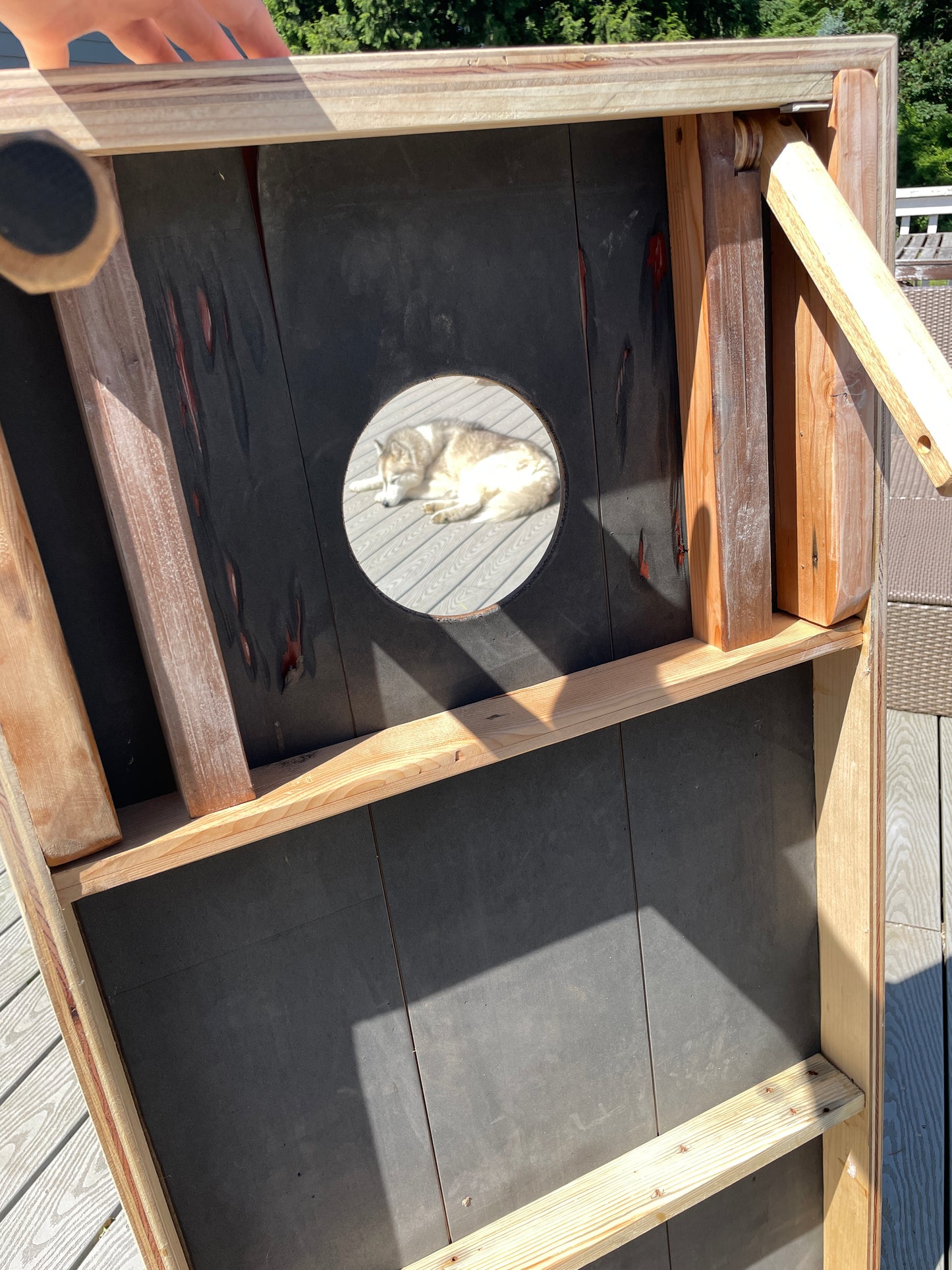 Laminate Cornhole Board Set w/ Bags (LOCAL pickup - Portland, OR)